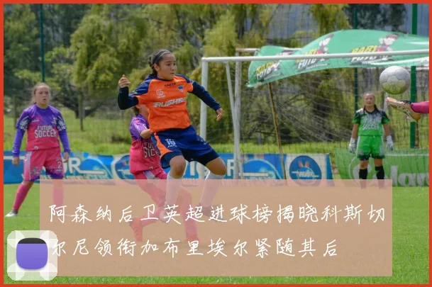 阿森纳后卫英超进球榜揭晓科斯切尔尼领衔加布里埃尔紧随其后